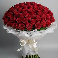 Букет 101 Красная роза Блэк Мэджик в Красная Долина