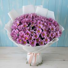Букет цветов из:  Хризантемы в Красная Долина