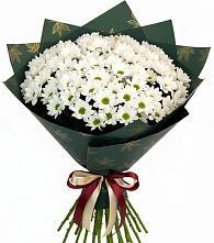 Букет цветов из:  Хризантемы в Красная Долина