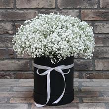 Цветочная композиция из Гипсофила в шляпной коробке в Красная Долина