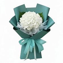 Букет цветов из:  Гортензия в Красная Долина